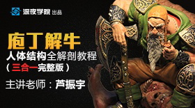 《庖丁解牛》人体结构全解剖教程