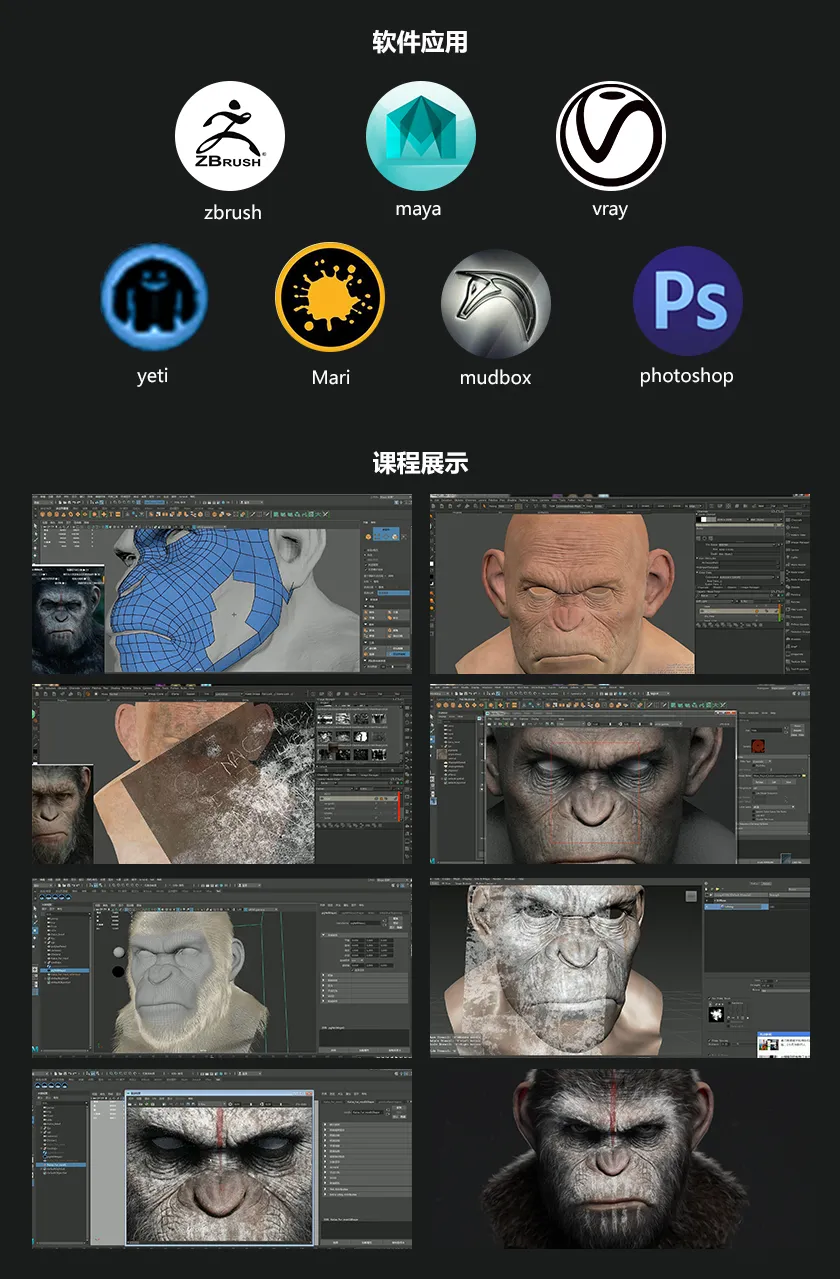 软件应用：zbrush maya vray yeti Mari mudbox photoshop